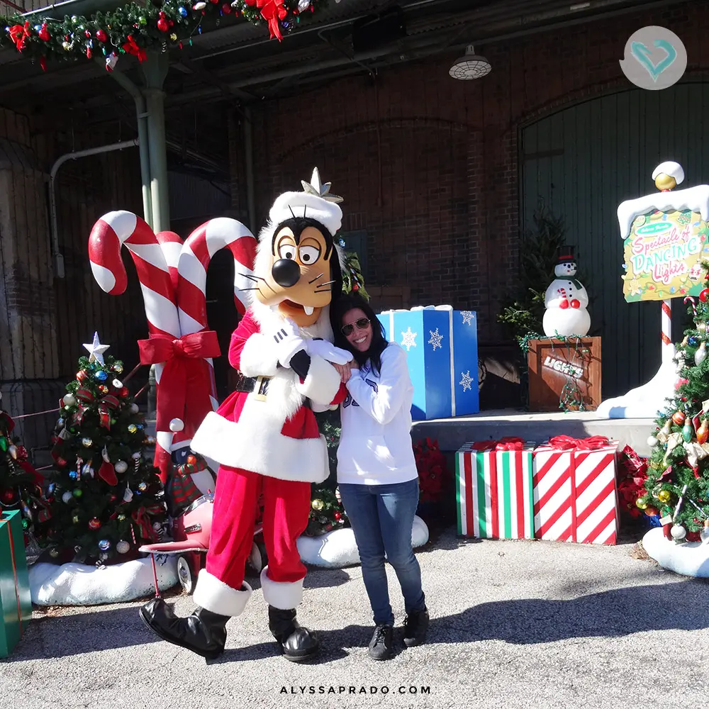 Taking a photo with your favorite characters is a must when visiting Disney! But do you know what else you can't help but do? No? So click on the link and discover 10 things you MUST do on your first trip to Orlando!