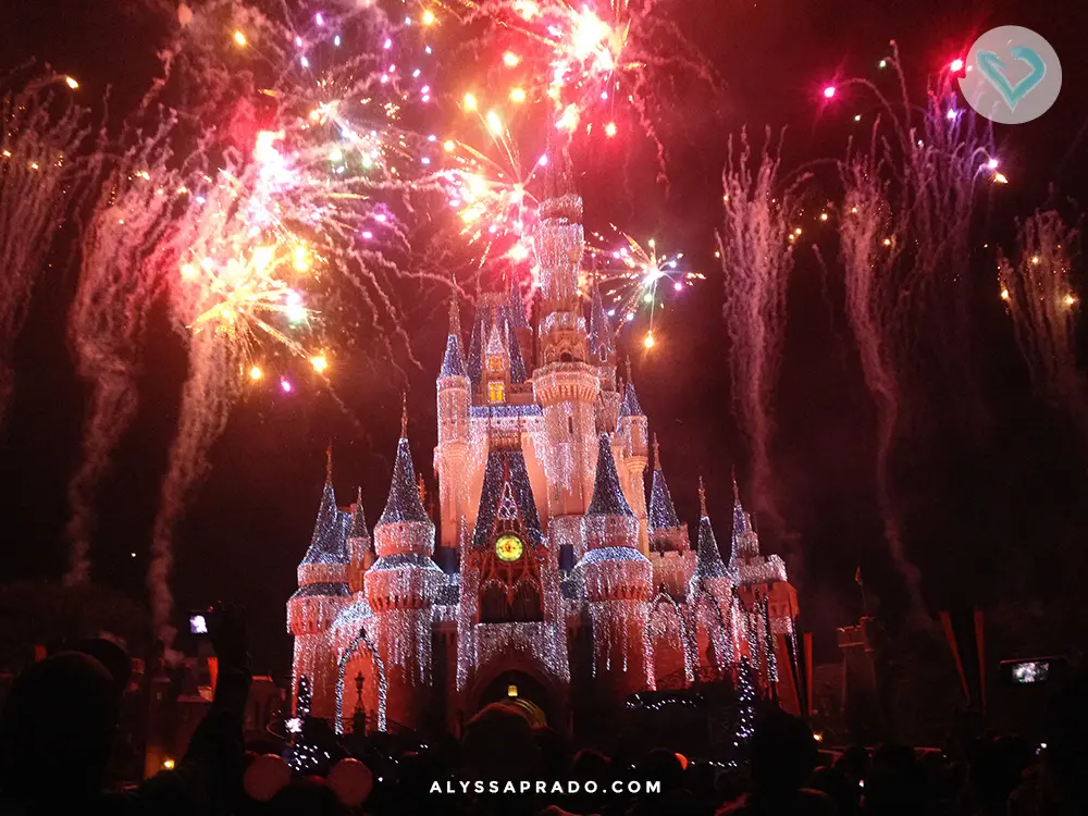 Watching Wishes at Magic Kingdom is one of those moments that no one can miss when going to Disney! Click on the link and discover 10 things you MUST do on your first trip to Orlando!