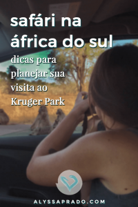 Quer fazer um safári na África do Sul? Então leia esse post com todas as dicas para planejar uma visita ao Kruger National Park, uma das maiores reservas do mundo! #safari #africadosul #krugerpark #animais #viagem #africa